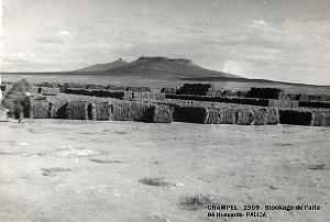 Palica - Crampel 006